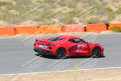 media/May-14-2023-Speed Ventures (Sun) [[8a95a37b3a]]/Purple/the bowl/